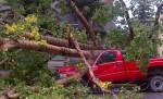 Maltempo killer: si spezza <br /> un albero, muore un operaio item-thumbnail
