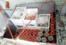 Sequestrato 100 Kg di pesce in cattivo stato di conservazione in Piazza S.Erasmo, Palermo