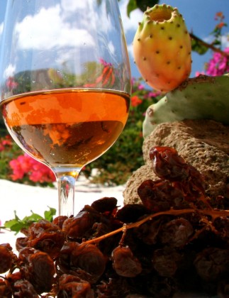 Passitaly 2016, educational per promuovere il fascino di Pantelleria