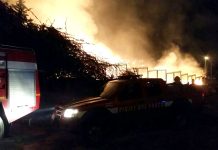 Fronte incendi, Busalacchi e Apprendi chiedono risposte concrete a Crocetta e company