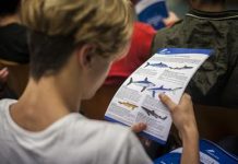 Formazione: con ‘Nauticinblu’ a studenti nautico competenze per proteggere mari