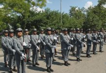 Cisl a Cordaro, rilanciare Corpo Forestale Regione siciliana